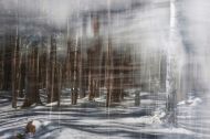 TOppolzer Ramsau Im Winter
